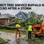 Emergency Tree Service Buffalo NY: What to Do After a Storm