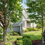 Tree Trimming vs Pruning: What’s the Difference