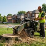 Stump Grinding Buffalo NY: Why It’s Essential After Tree Removal