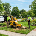 Cost of Stump Grinding in Buffalo NY