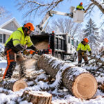 Tree Removal Buffalo NY Solutions for Hazardous Trees Before Snowfall